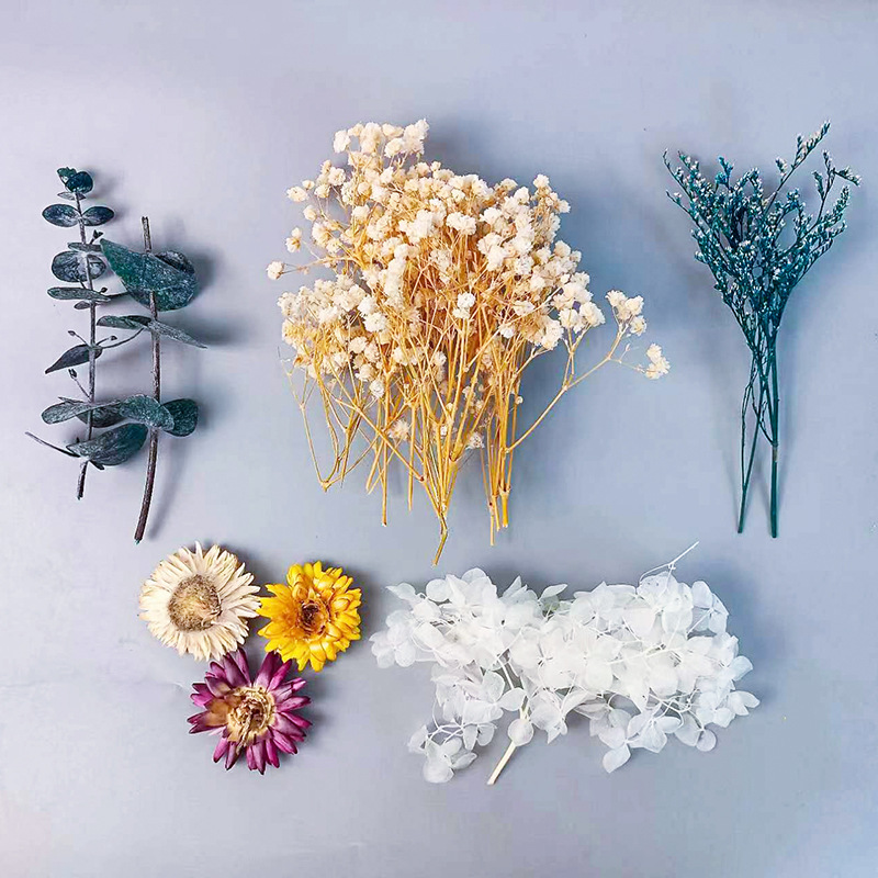 Embellish Craft - 1 упаковка, набор различных сушеных цветов